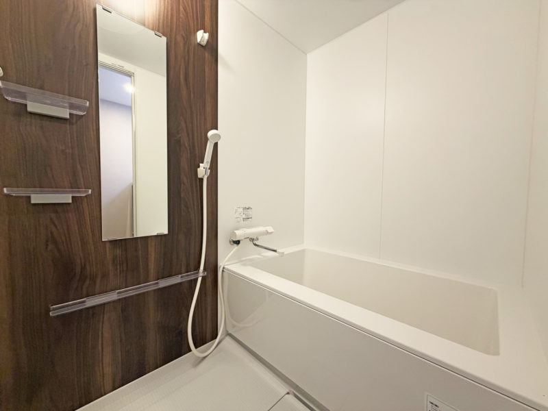 IMG_1201 IRON HIROO2F